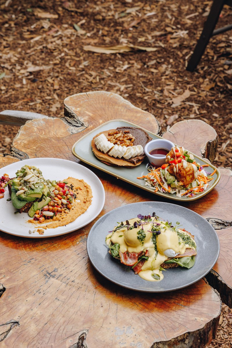 best breakfasts on the central coast nsw